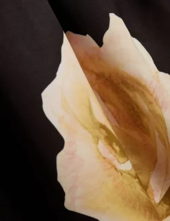 Ärmelloses Midi-Kleid mit Rosenmuster